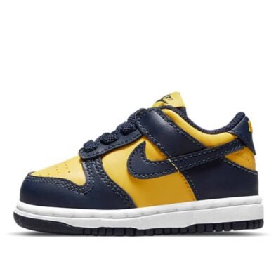 Nike Dunk Low Kids CW1589-700